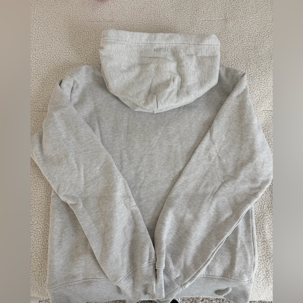 FINAL PRICE BEFOFE DONATION- 
Aritzia Cozy Sweatfleece Perfect Hoodie - Picture 6 of 6